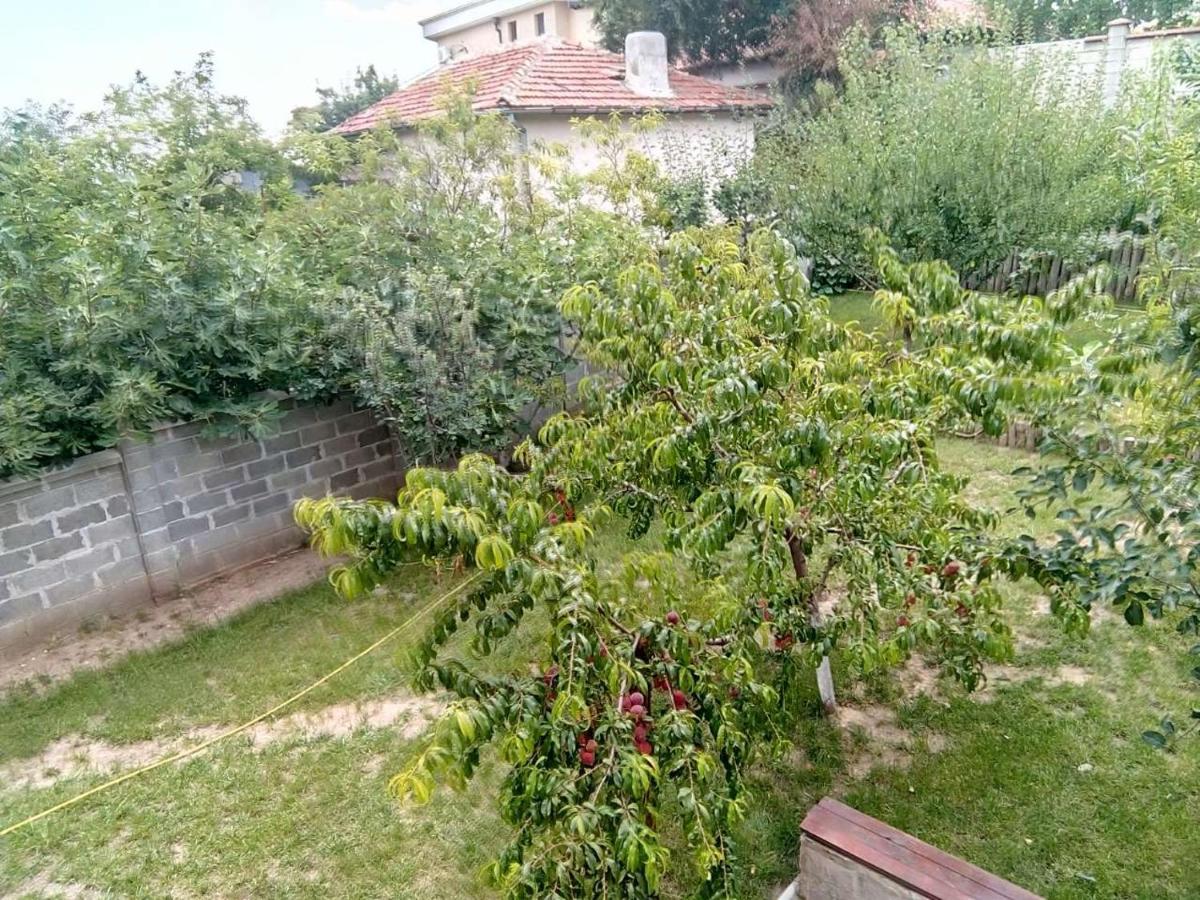 Alfa Guest Rooms With Parking Βάρνα Εξωτερικό φωτογραφία
