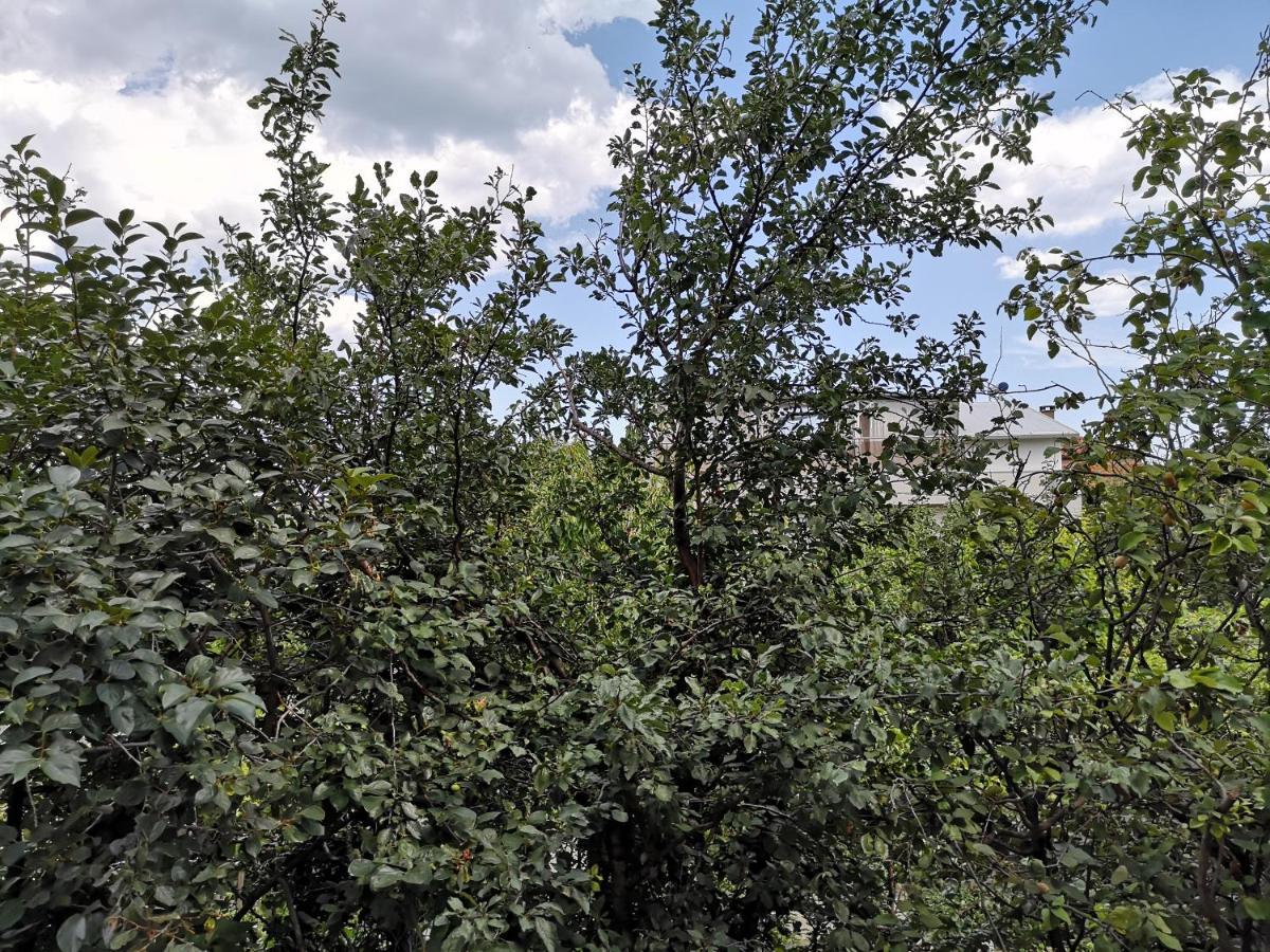 Alfa Guest Rooms With Parking Βάρνα Εξωτερικό φωτογραφία